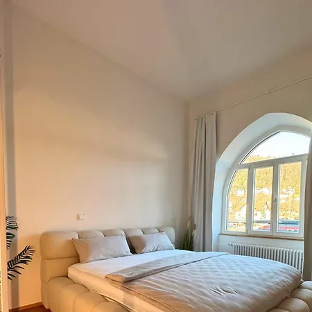 Isaak Loewenbau E1-w06 Apartmán Waldshut-Tiengen